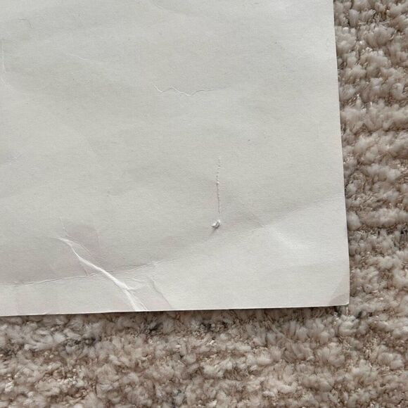 Vintage Bicknell Framed Decorative Signed Limited Run Print Crochet 17/200 - Picture 12 of 13